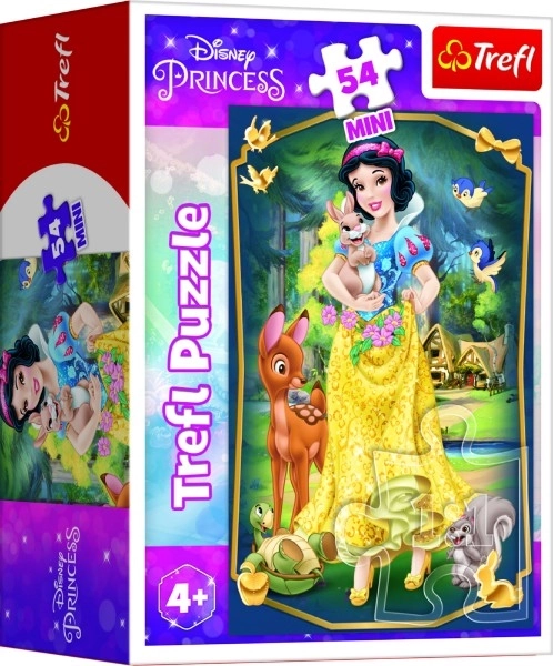 Minipuzzle Čudovite princese/Disney Princess 54 kosov