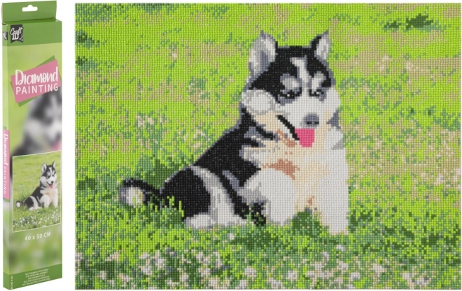 GRAFIX Diamantno slikanje Husky 40x50cm