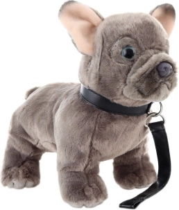 Plišasti francoski buldog z vrvico 23 cm