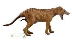 COLLECTA Tazmanski tiger (samica)