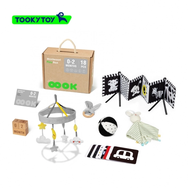 Montessori XXL izobraževalna škatla 7v1 TOOKY TOY