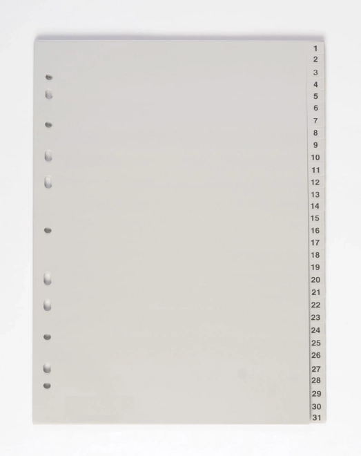 Razdelilnik dokumentov A4 1-31