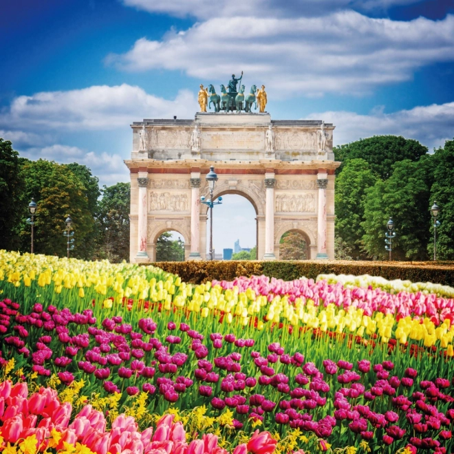 NOTIQUE Bele255147ni koledar Pariz 2025, 30 x 30 cm