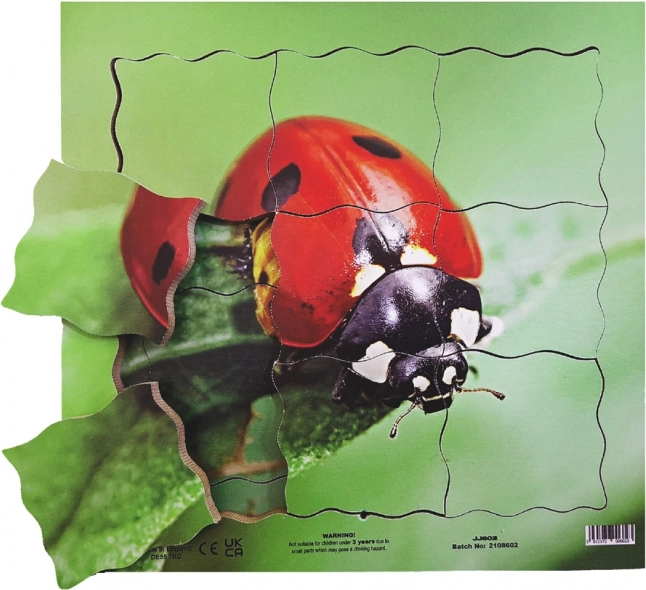 Just Jigsaws Lesene plastne sestavljanke Pikapolonica in njen življenjski cikel 19 kosov