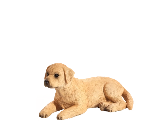 Mojo Labrador mladič