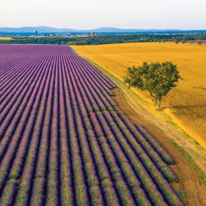 Koledar za beležke Provence 2026