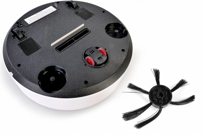 Čistilni robot Home