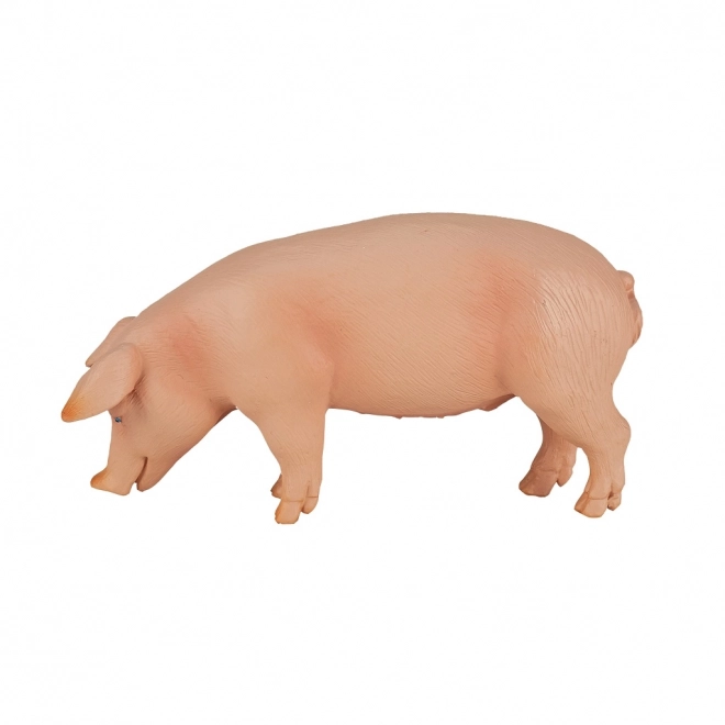 Mojo prašič figura