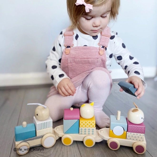 Bigjigs Baby Lesen vlakec z živalcami