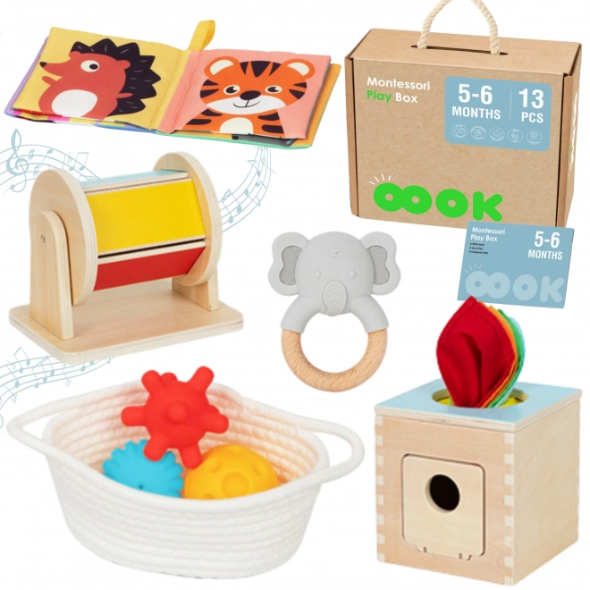 Tooky Toy velika montessori izobraževalna škatla 6v1