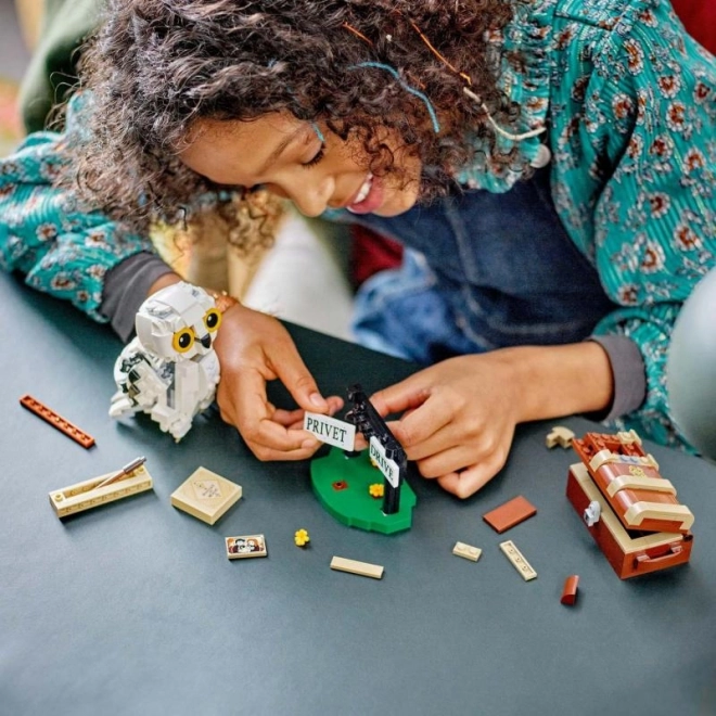LEGO Harry Potter Žmed na Privet Drive