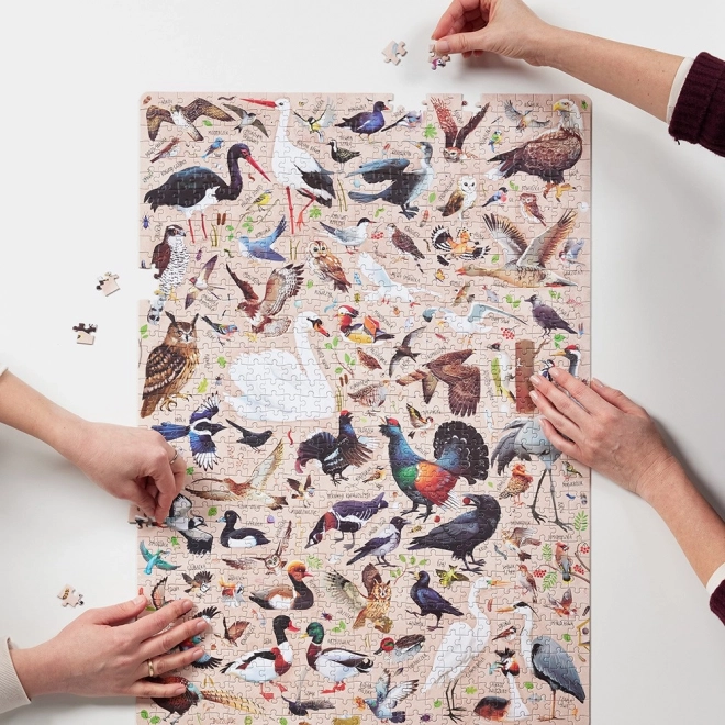 Sestavljanka Puzzlove Ptaki 1000 kosov