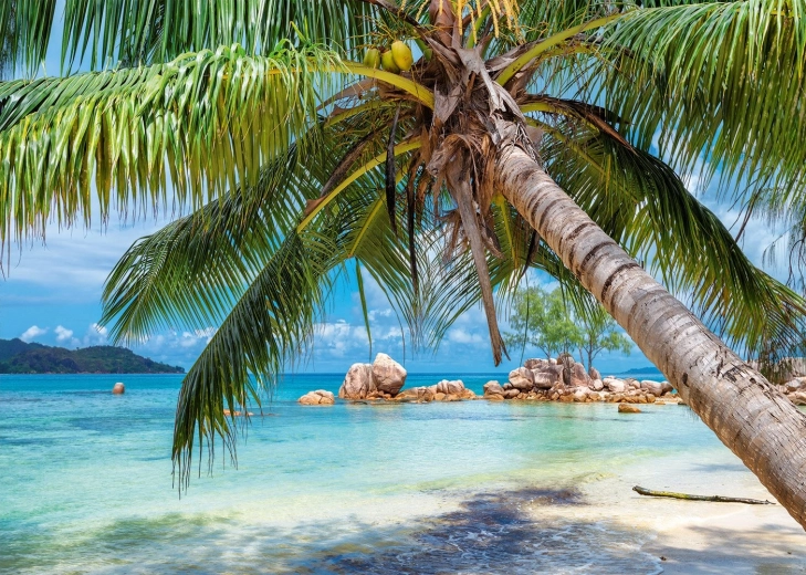 Sestavljanka Tropska plaža 1000 koščkov