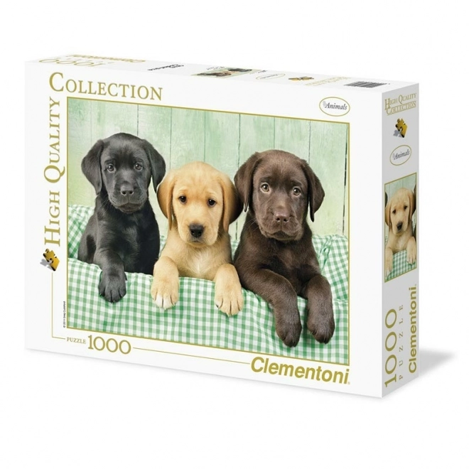 Puzzel 1000 delcev Trije Labradoodli