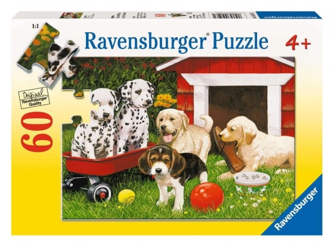 Ravensburger sestavljanka Pasja zabava 60 delov