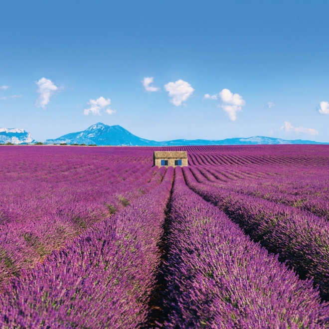 Koledar za beležke Provence 2026