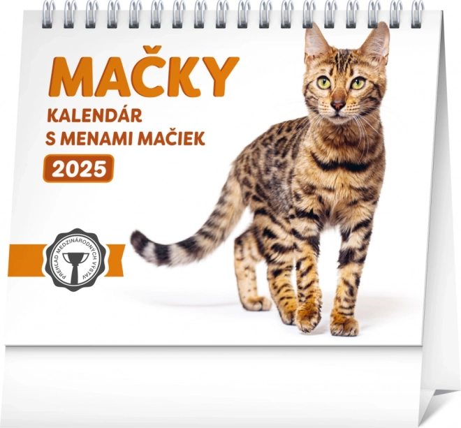 NOTIQUE Namizni koledar Mačke – z imeni mačk 2025, 16,5 x 13 cm