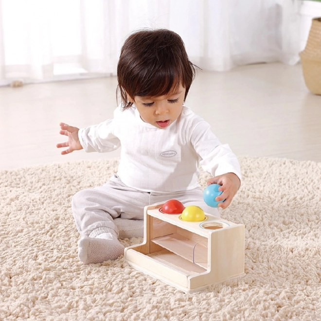 Izobraževalna škatla montessori XXL 5v1 za dojenčke 11-12 mesecev