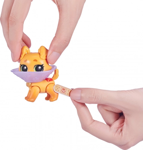 Zberite raznolike kužke