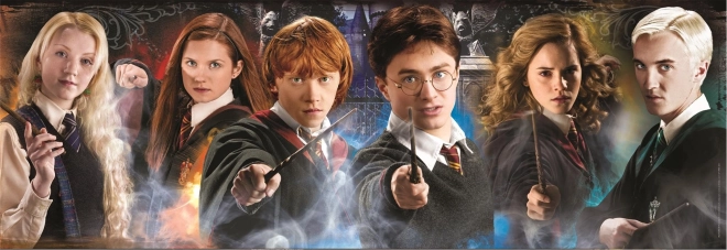Sestavljanka 1000 delov Panorama Harry Potter: Študenti