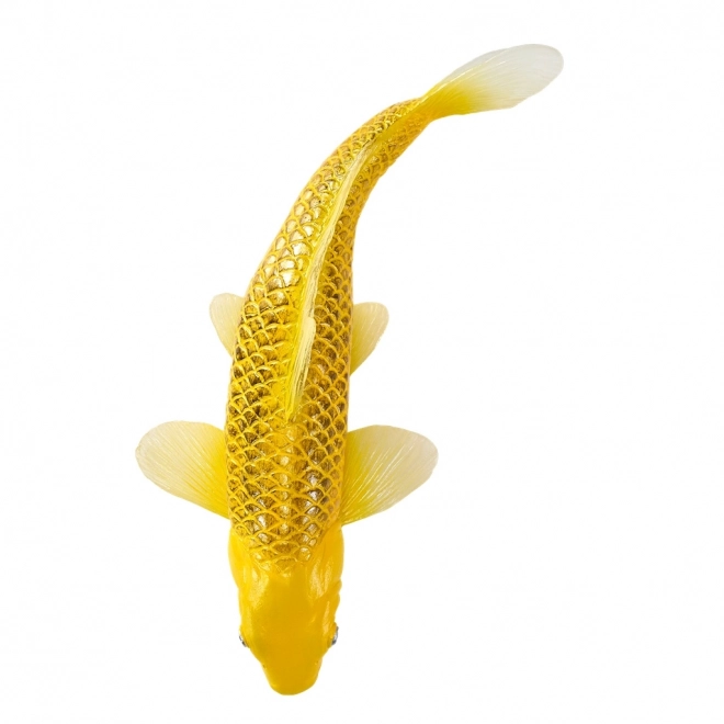 Mojo krap koi Matsuba