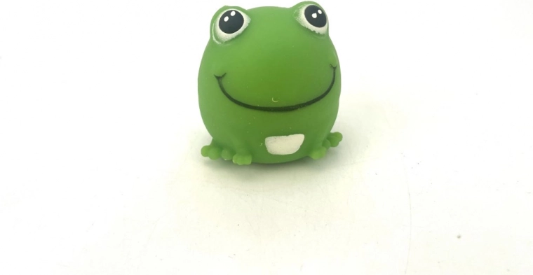 Žaba za zabavo in zbranost