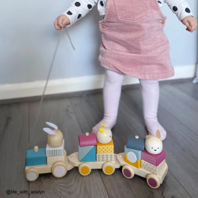 Bigjigs Baby Lesen vlakec z živalcami