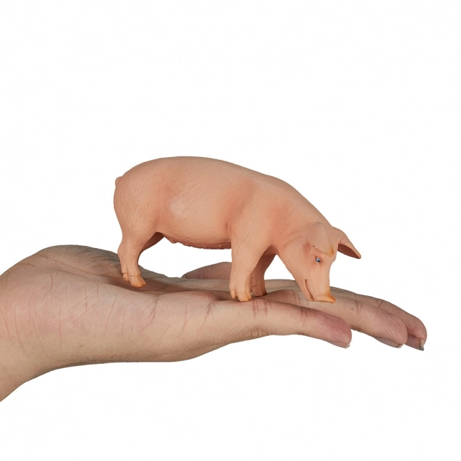 Mojo prašič figura