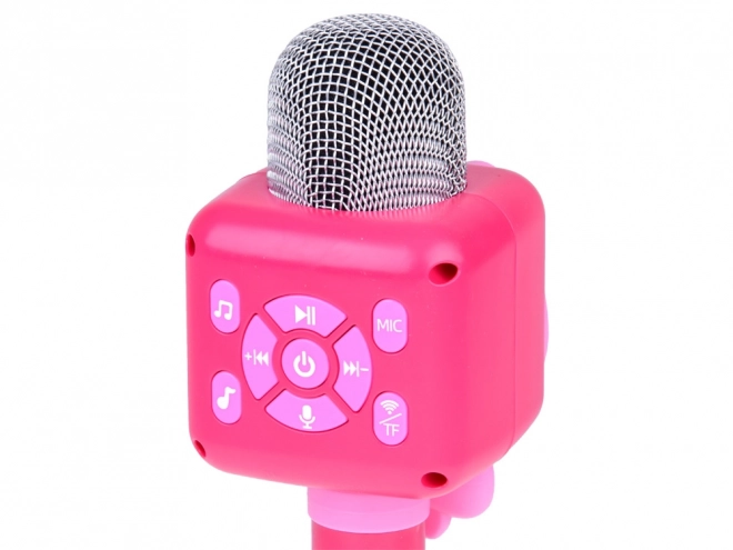 Brezžični mikrofon karaoke za otroke