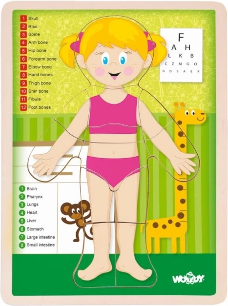 Woody dvostranske puzzle človeško telo – deklica (v angleščini)