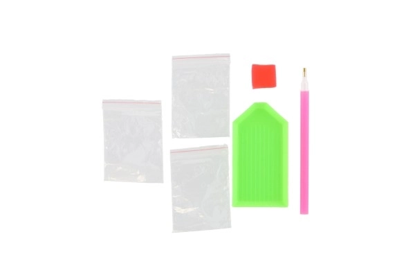 Set za diamantno slikanje - čarobna violinistka