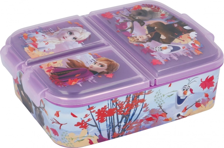 Uradni motiv FROZEN II, ki ga imajo otroci radi