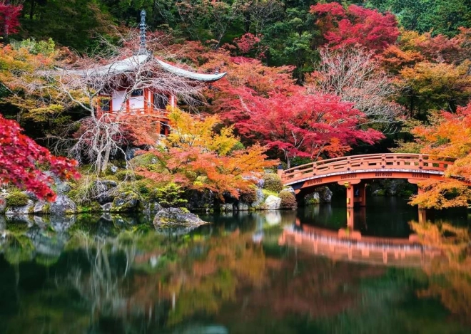 Sestavljanka 1000 koščkov – vrt Daigo-ji, Kjoto, Japonska