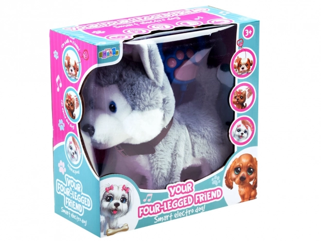 Interaktivni Husky pes na povodcu