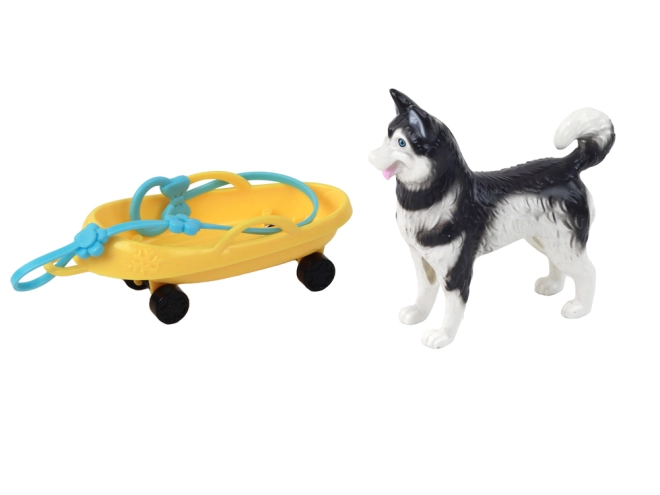 Pes Husky kot zvesti spremljevalec
