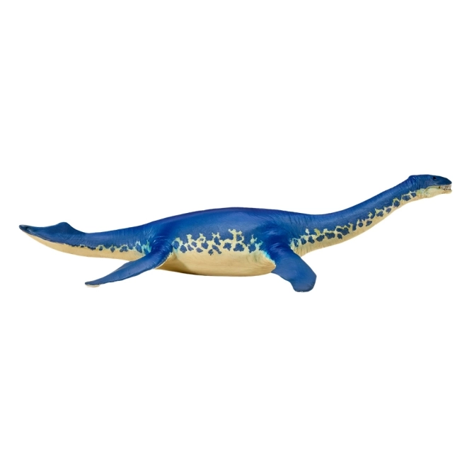 Cryptoclidus figurica xxl