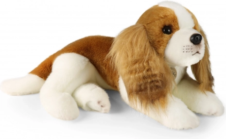 Plišasti pes Cavalier King Charles španjel 40 cm od RAPPA