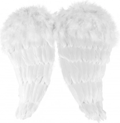 Angelska krila s perjem