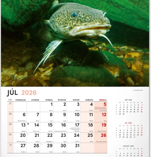 Stenski koledar Ribiški 2026