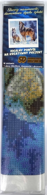 Diamantno slikanje Volčji klic 30x40cm