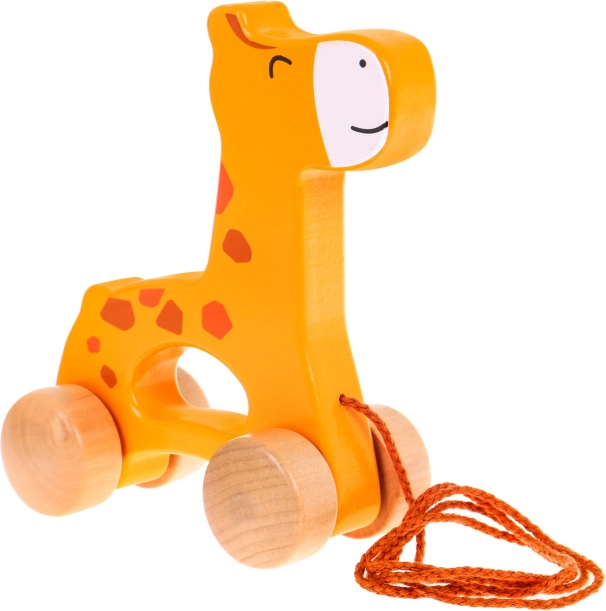 Podpora razvoju motorike