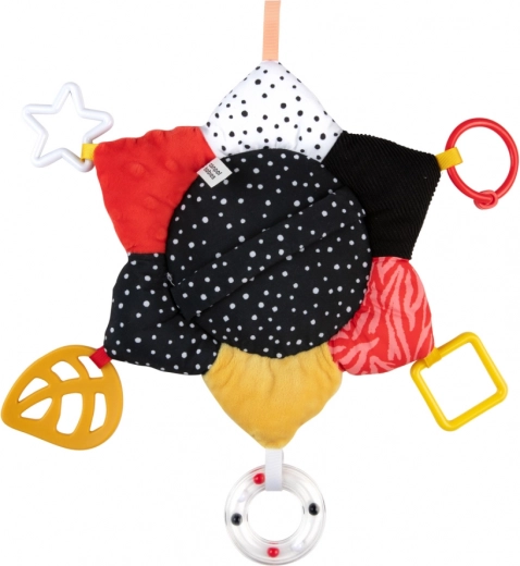 Multisenzorična stimulacija s šuštenjem in ropotuljico