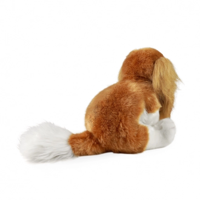 Plišast pes Cavalier King Charles španjel okolju prijazen