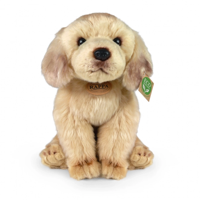 Plišasti labrador sedeč 27 cm EKO-PRIJAZEN