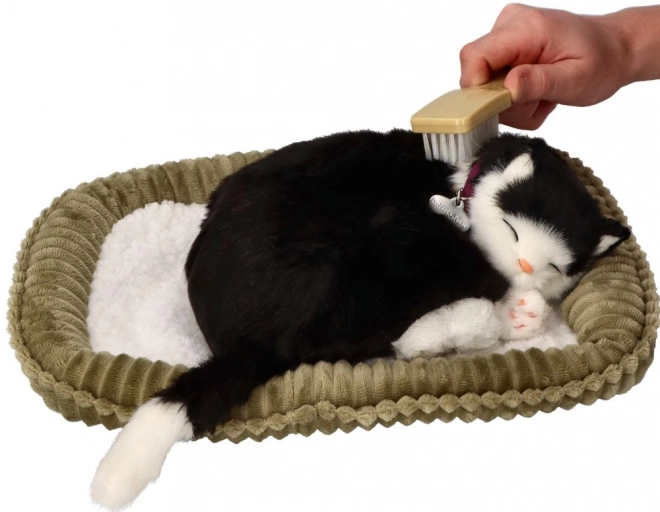 Interaktivna igrača Perfect Petzzz Črno-bela mačka