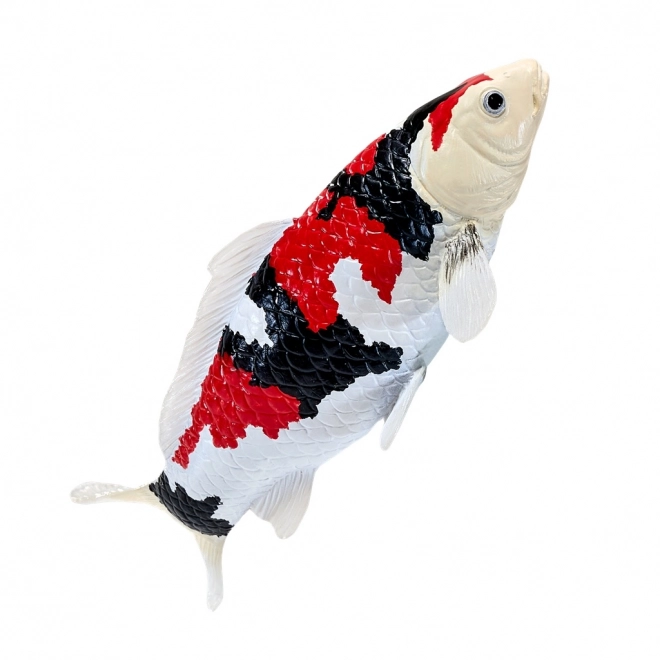 Mojo krap koi showa sanshoku