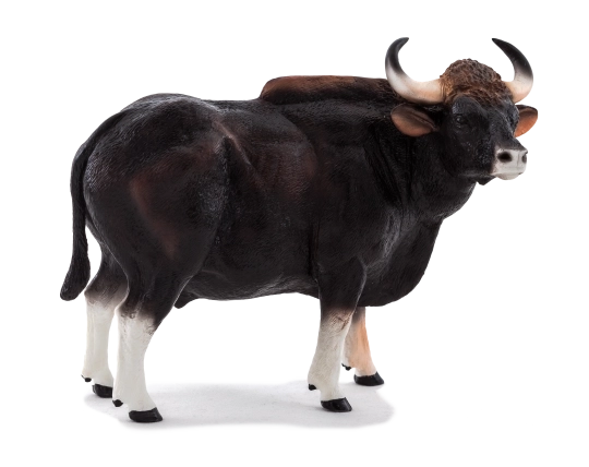 Mojo Gaur bík