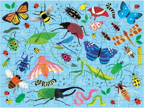 Izobraževalne ilustracije, polne podrobnosti