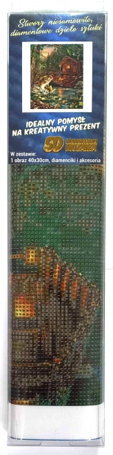 Diamantno barvanje Ribarska koča