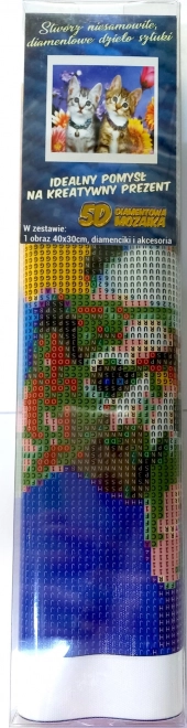 Diamantno slikanje Dve mucki 30x40 cm